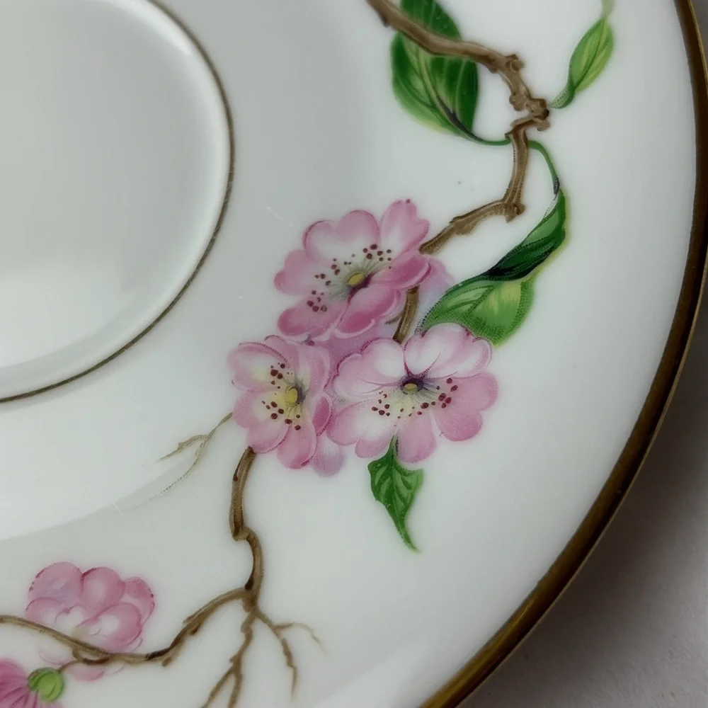 H & Co Selb Bavaria Germany Heinrich BLOSSOMTIME Pattern tea cup & saucer number